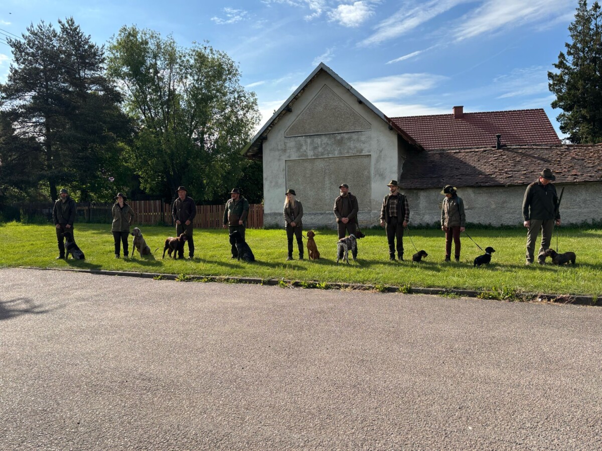 Zkoušky vloh 10.5.2025 – Přepychy